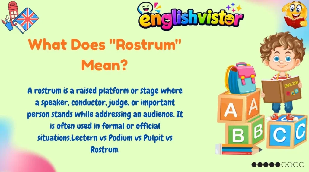 What Does "Rostrum" Mean?