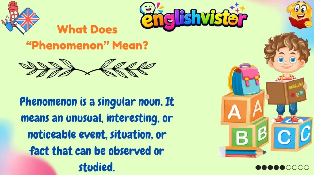 What Does “Phenomenon” Mean?
