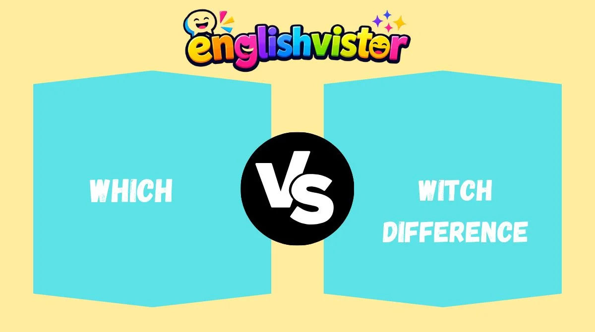 Which vs Witch Difference