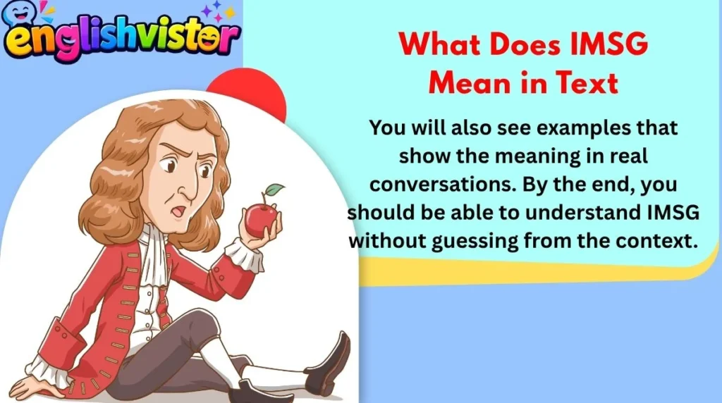 What Does IMSG Mean in Text