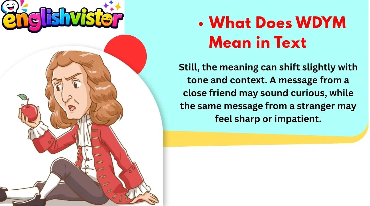 What Does WDYM Mean in Text